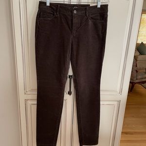 Loft Curvy Skinny Corduroy Jeans. Size 30/10. NWT. Brown.